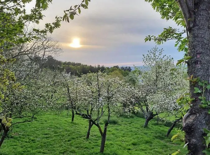 בית נופש Casa Pro Pantea *