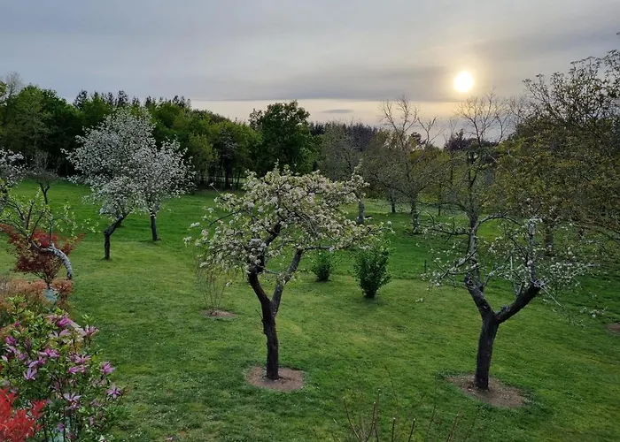Casa Pro Pantea Casa de Férias *