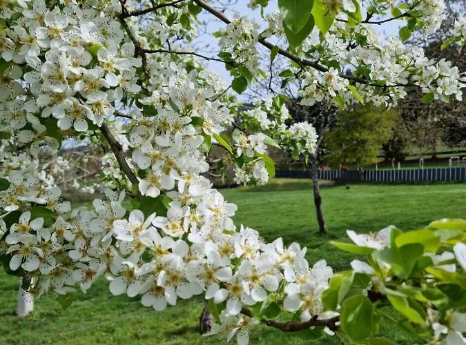 בית נופש Casa Pro Pantea *