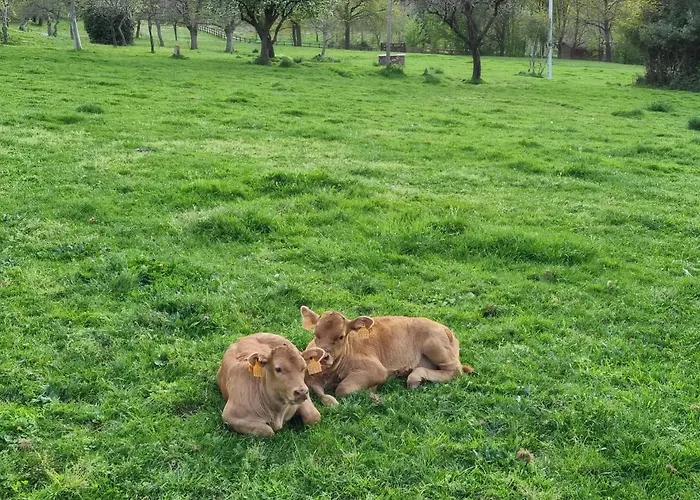 Casa Pro Pantea בית נופש *