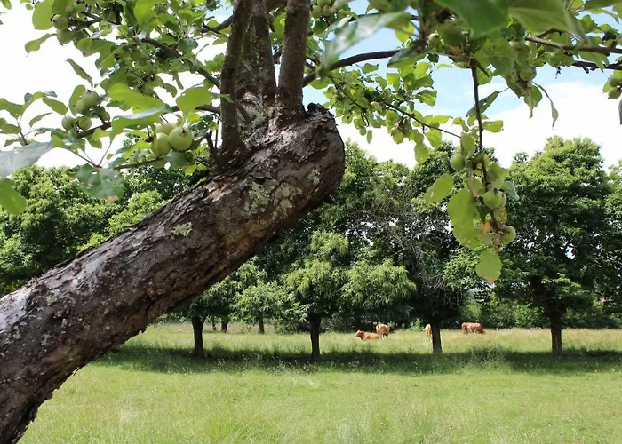 Casa Pro Pantea בית נופש *